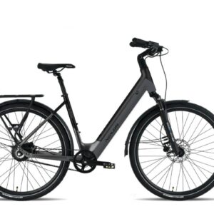 Avalon E-Flow Beltdrive Elektrisch