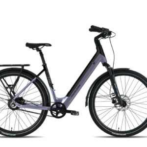 Avalon E-Flow Beltdrive Elektrisch